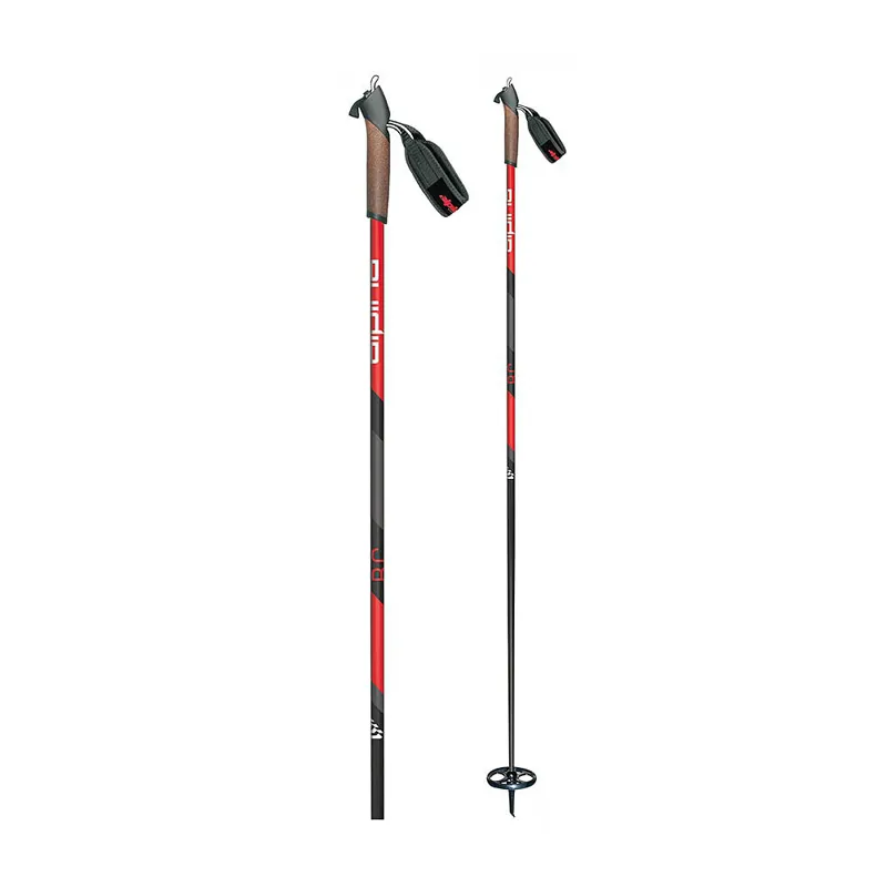 Alpina BC Pole
